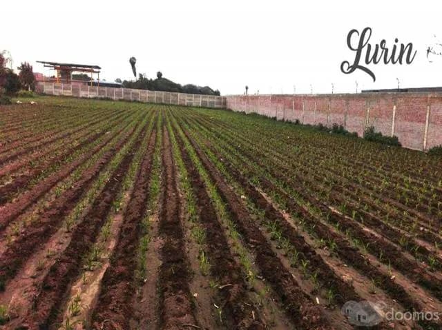 VENDO TERRENO INDUSTRIAL - 5,230 m2 — foto 1