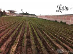 VENDO TERRENO INDUSTRIAL - 5,230 m2