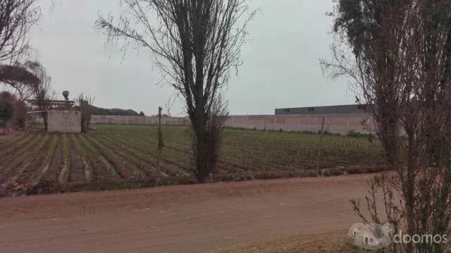 VENDO TERRENO INDUSTRIAL - 5,230 m2 — foto 2