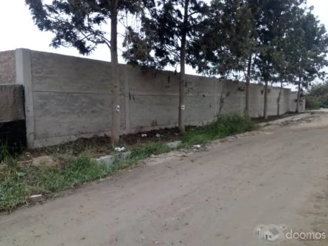 VENDO LOCAL 7,200 m2 - Lurín — foto 6