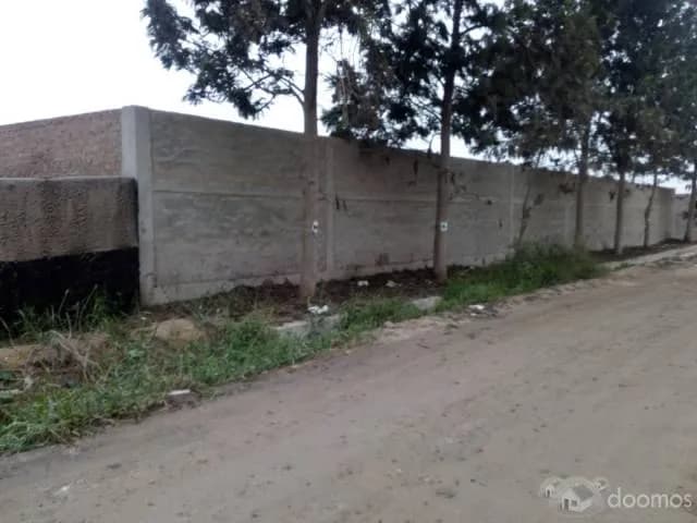 VENDO LOCAL 7,200 m2 - Lurín — foto 7