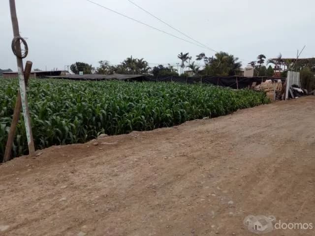 VENDO TERRENO 1,800 m2. — foto 4