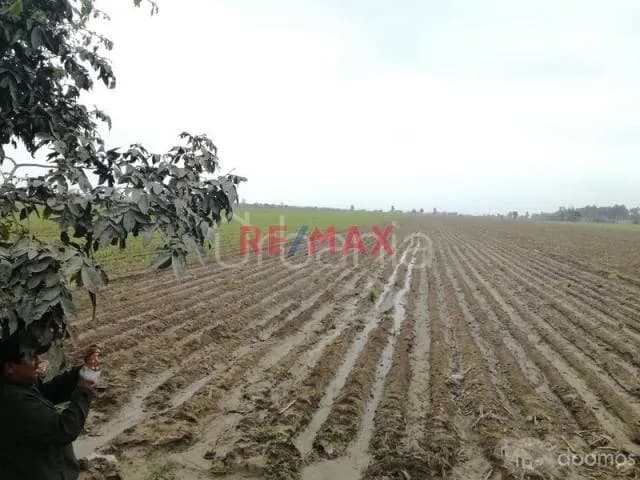 ID 91749 - Terreno Agrí­cola En Venta — foto 1
