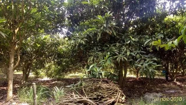 Oportunidad En Coayllo Terreno De 3330m2 A Precio De Ocasion — foto 7