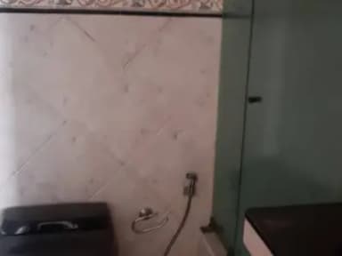 Miniatura 10