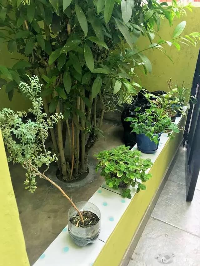 DEPARTAMENTO EN ALQUILER — foto 1