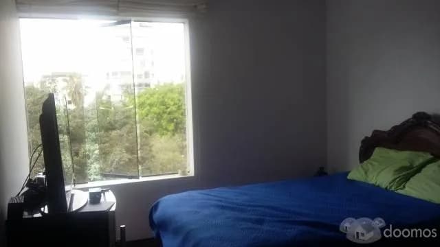 VENDO ACOGEDOR DPTO — foto 4