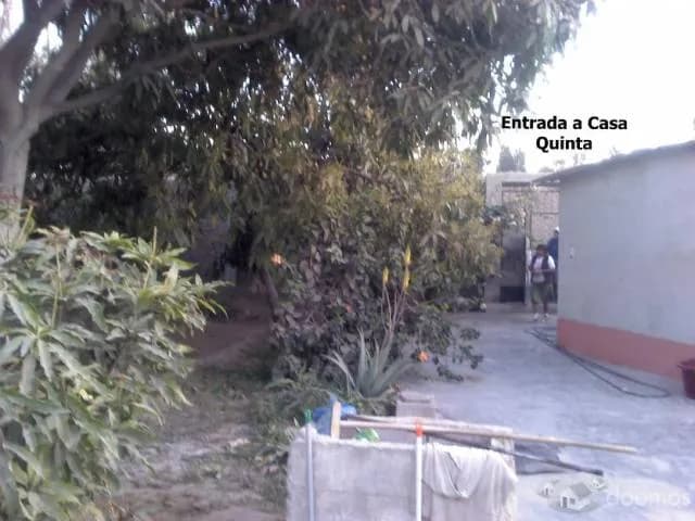 Quinta Huerta Reque — foto 3