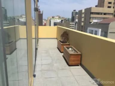 Miniatura 10