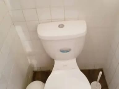 Miniatura 10