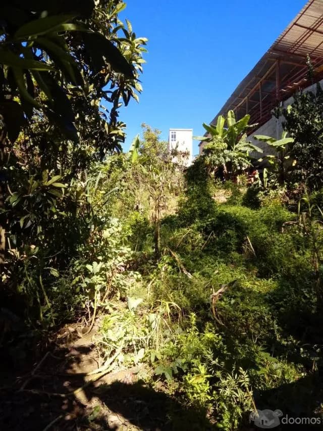 TERRENO EN VENTA EN LA CIUDAD DE CHACHAPOYAS — foto 3