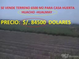 SE REMATA TERRENO PARA CASA HUERTA - 6500 M2 - 13 DOLARES X M2 - HUACHO
