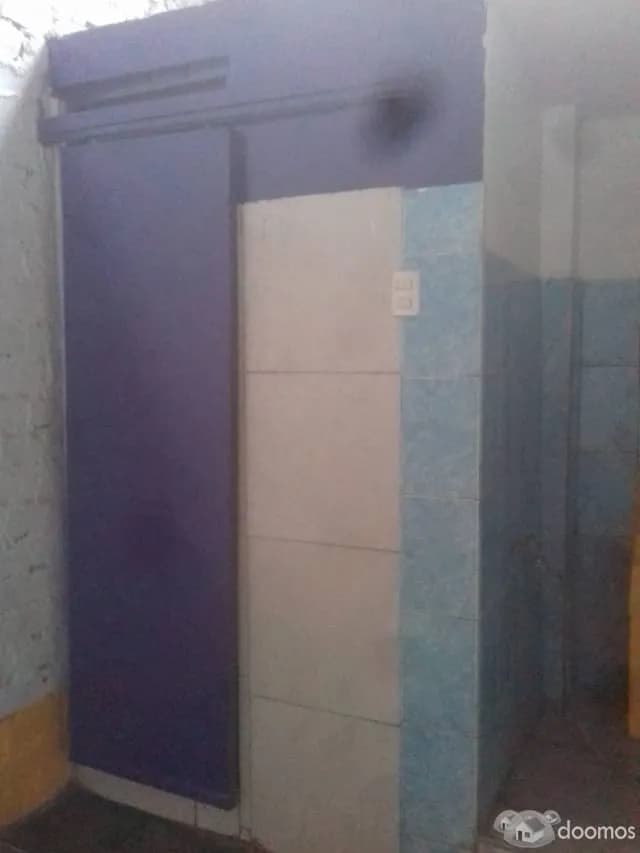 Alquilo Local Industrial en San Martin de Porres — foto 6