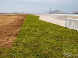 Venta lotes de playa , cerro Azul