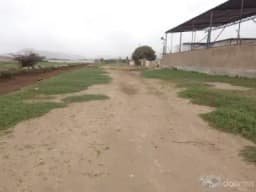 SE VENDE TERRENO EN LURIN 6000 m2