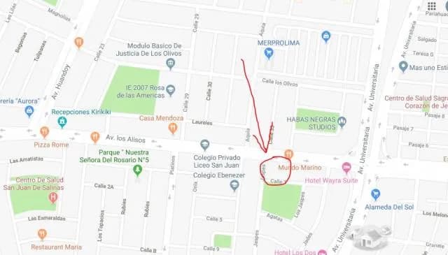 Alquiler local comercial 1000 m2 - San Martín de Porres - Lima — foto 1