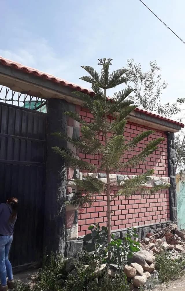 Venta de Terreno de 120 m2 en Characato con Construcción de Paredes Sin Techo — foto 5