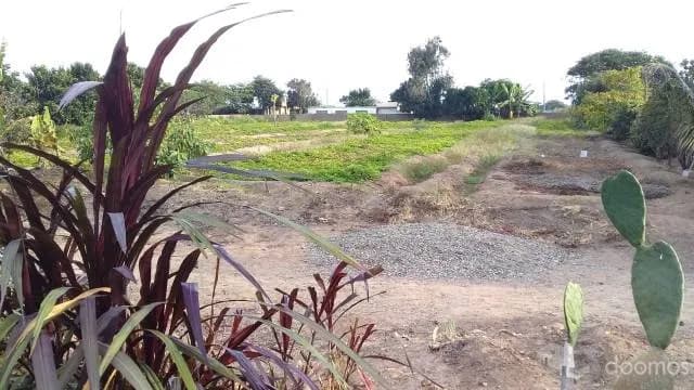 SE REMATA TERRENO DE 5400 M2 - CERCA AL MALL PLAZA - TRUJILLO — foto 2