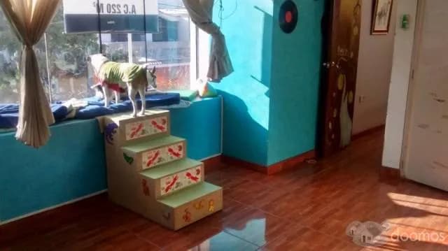 Ocasión amplia y cómoda casa — foto 5