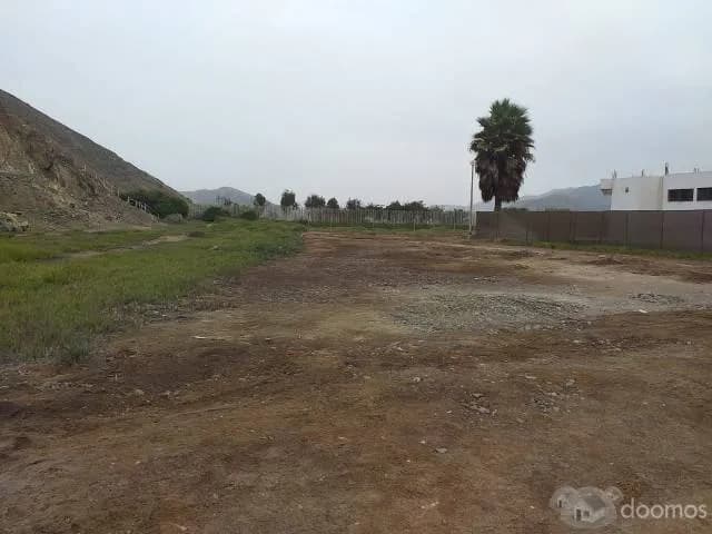 VENTA DE TERRENO EN CONDOMINIO COSTA DEL CAMPO - CAÑETE — foto 8
