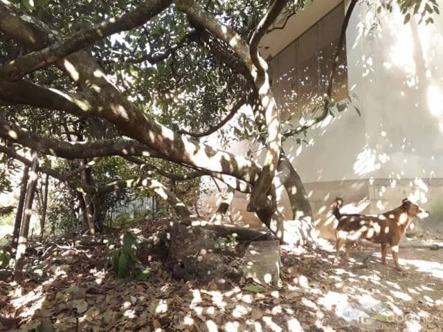 casa en celenidn — foto 5