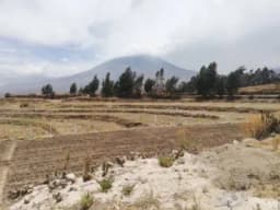 TERRENO PARA CASA DE CAMPO CHIGUATA