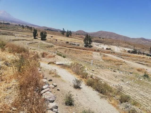 TERRENO PARA CASA DE CAMPO CHIGUATA — foto 2