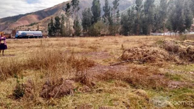 VENDO TERRENO EN HUASAO DE 9,800M2 — foto 6