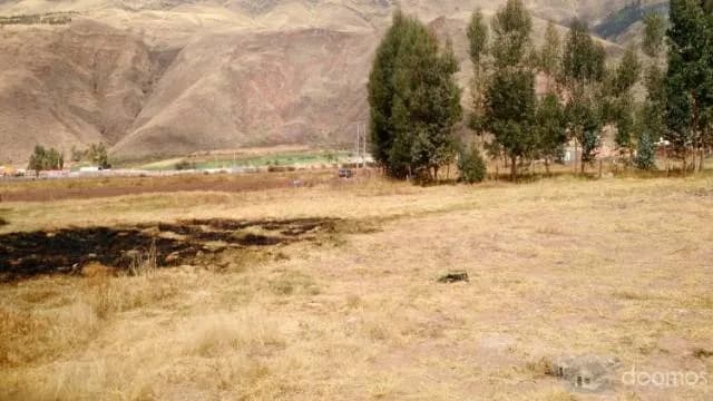 VENDO TERRENO EN HUASAO DE 9,800M2 — foto 9