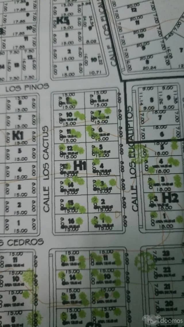 VENTA DE TERRENO PLANO EN AVENIDA — foto 2
