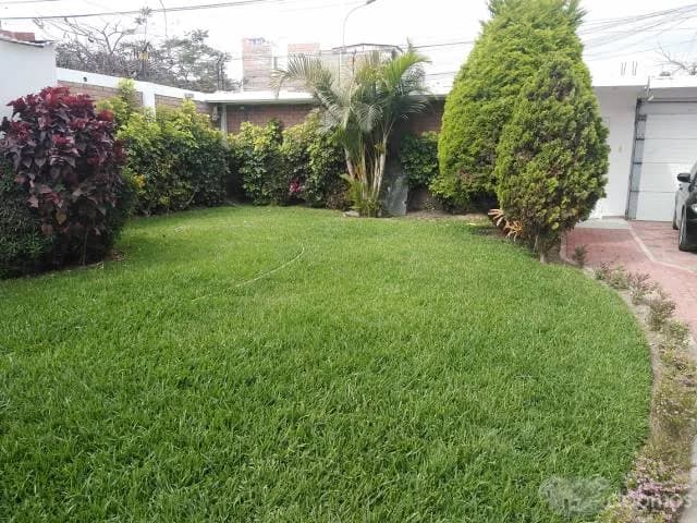 Alquiler de casa para eventos en Los Cedros - Chorrillos — foto 8