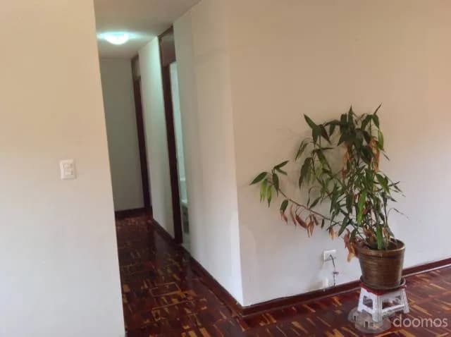 Departamento en San Borja — foto 4