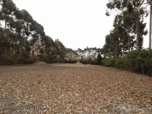 Vendo Terreno Hacienda San Andrés, Km. 75 (Ref: 372) — foto 1