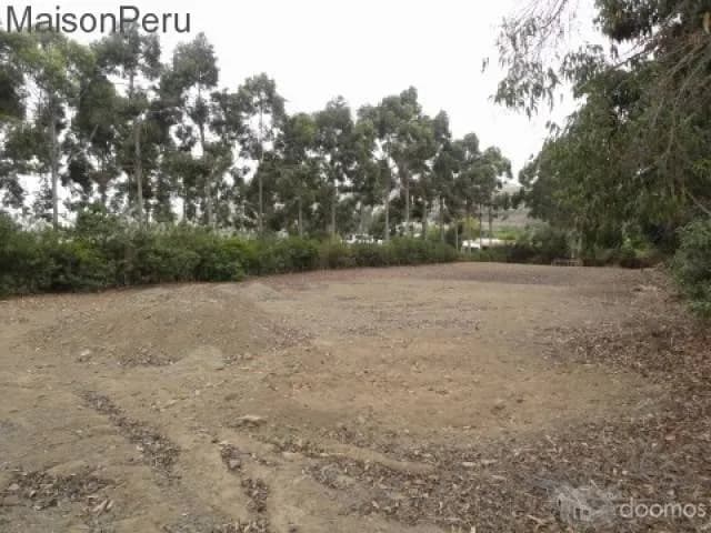 Vendo Terreno Hacienda San Andrés, Km. 75 (Ref: 372) — foto 2