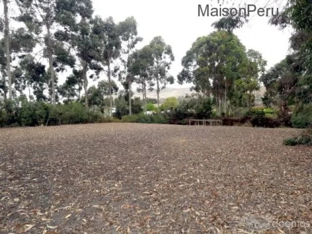 Vendo Terreno Hacienda San Andrés, Km. 75 (Ref: 372) — foto 6