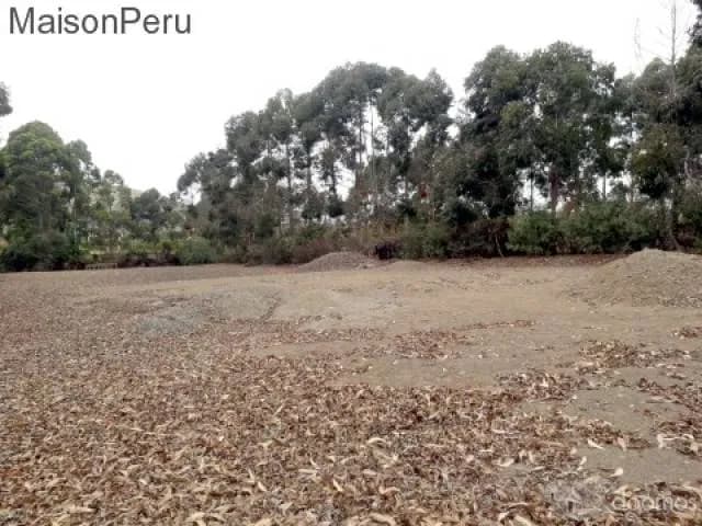 Vendo Terreno Hacienda San Andrés, Km. 75 (Ref: 372) — foto 11