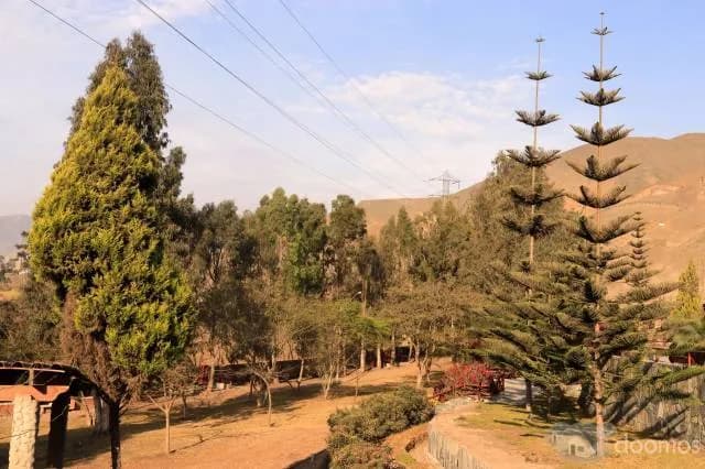 Terreno en venta CIENEGUILLA EXCELENTE VISTA AL VALLE — foto 5