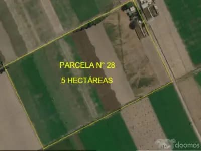 ¡ LA OPORTUNIDAD DE TU VIDA ¡ COMPRA UNA PARCELA DE 5 HECTÁREAS