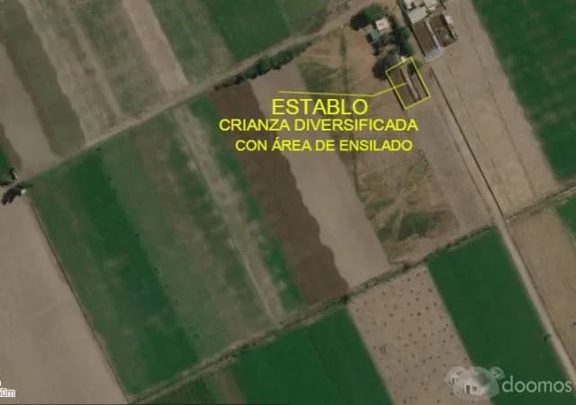 ¡ LA OPORTUNIDAD DE TU VIDA ¡ COMPRA UNA PARCELA DE 5 HECTÁREAS — foto 4