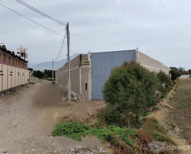 ALQUILO LOCAL - ALMACEN ESTRENO 2000 M2 — foto 3