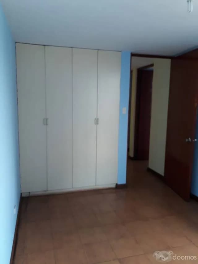 BUENA VISTA — foto 3