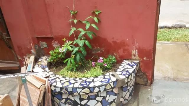 VENDO CASA POR VIAJE — foto 5