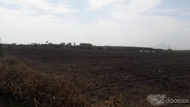 TERRENO AGRÍCOLA EN VENTA — foto 6