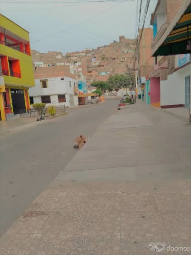 VENDO HERMOSO DEPARTAMENTO TODO PISO PARQUET — foto 3