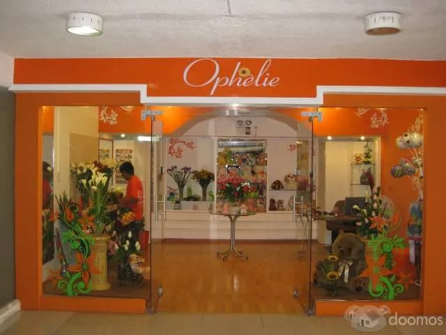 Alquilo Tienda en Centro Comercial Caminos del Inca — foto 1