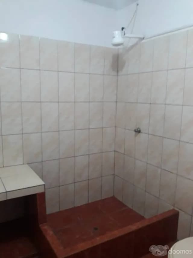 Alquiler Departamento Los Olivos Av.Alisos Cdra 13 — foto 5