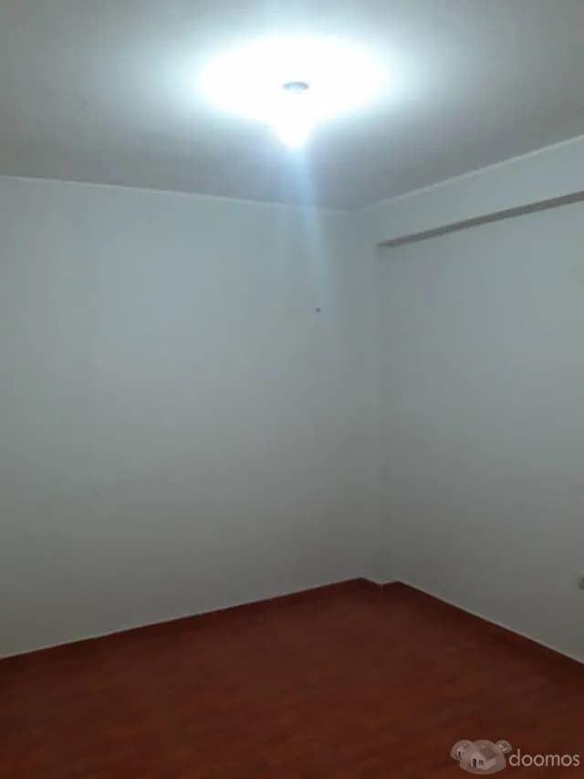 Alquiler Departamento Los Olivos Av.Alisos Cdra 13 — foto 6