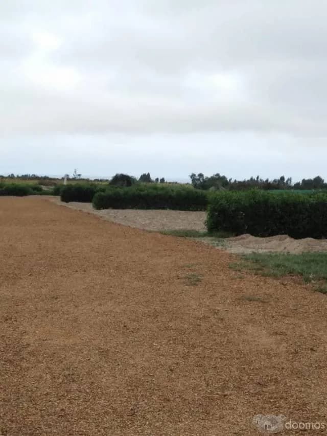 SE VENDEN LOTES EN STA ROSA DE ASIA CAÑETE — foto 1