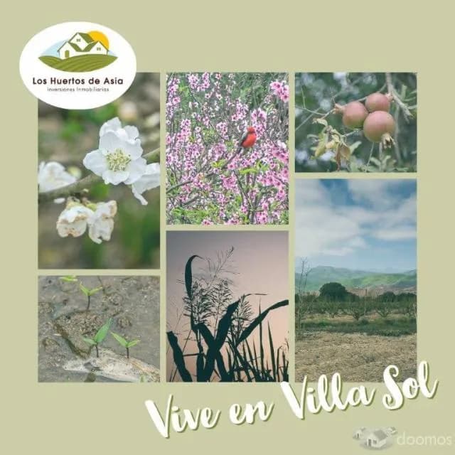 SE VENDEN LOTES EN STA ROSA DE ASIA CAÑETE — foto 3