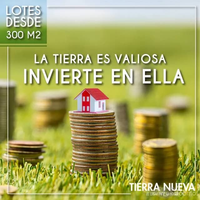 Venta de lotes en condomino cerrado y ecològico. — foto 4